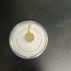 Alex and Ani Endless Knot Charm